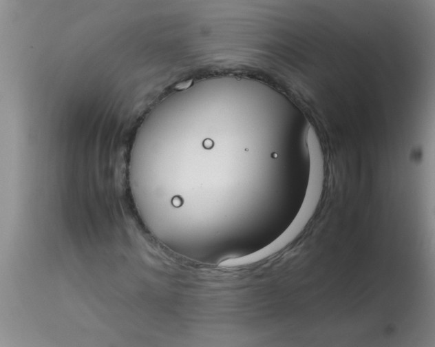 X0000113870868200910151258