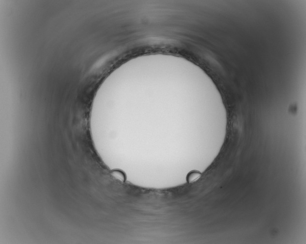 X0000113870869200910151258