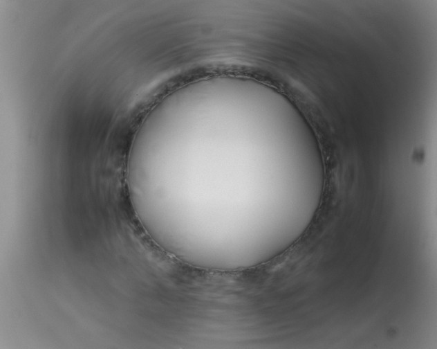 X0000113870870200910151258