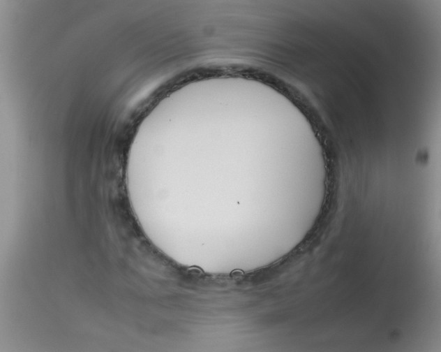 X0000113870871200910151258