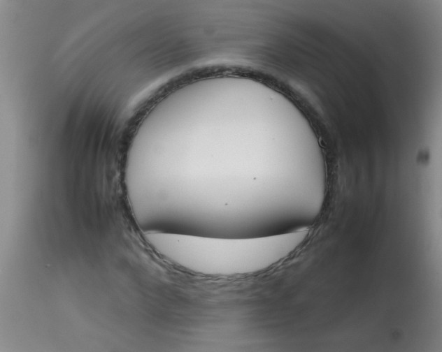 X0000113870872200910151258