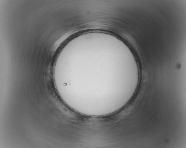 X0000113870875200910151258