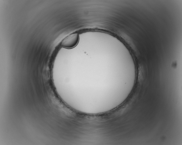 X0000113870876200910151258