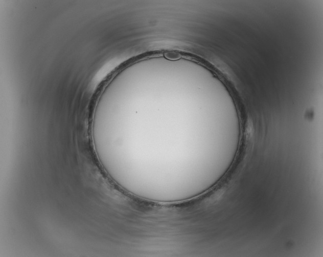 X0000113870877200910151258