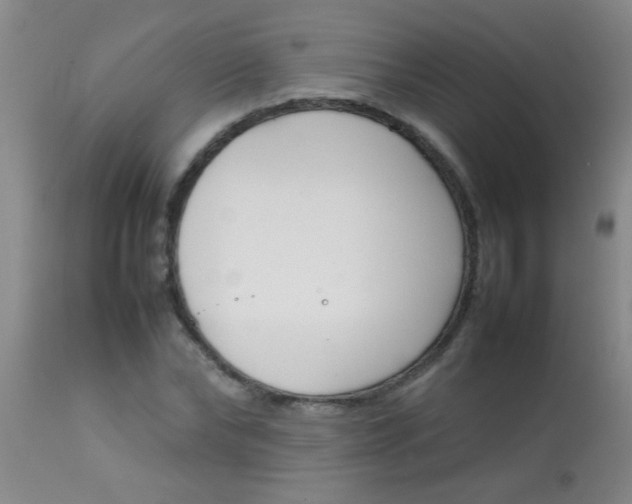 X0000113870878200910151258