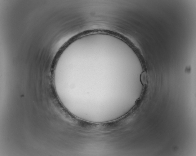 X0000113870879200910151258