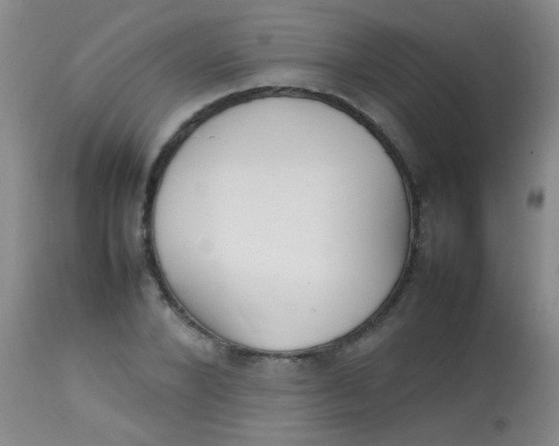 X0000113870880200910151258