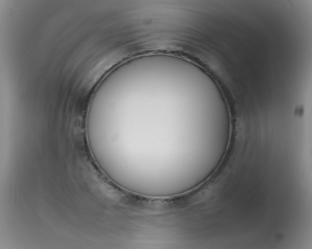 X0000113870881200910151258