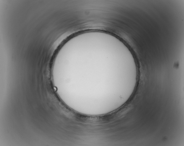 X0000113870883200910151258