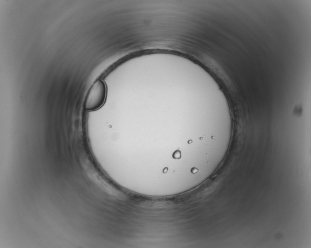 X0000113870884200910151258