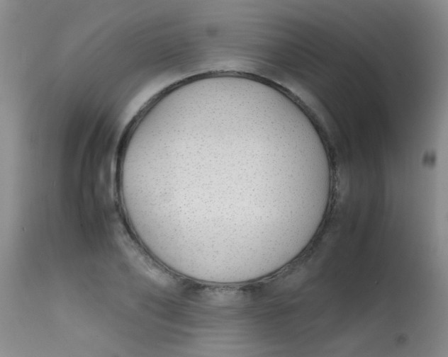 X0000113870886200910151258