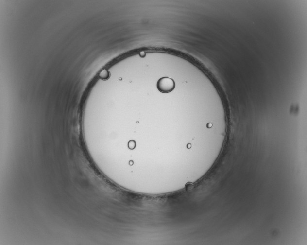 X0000113870887200910151258