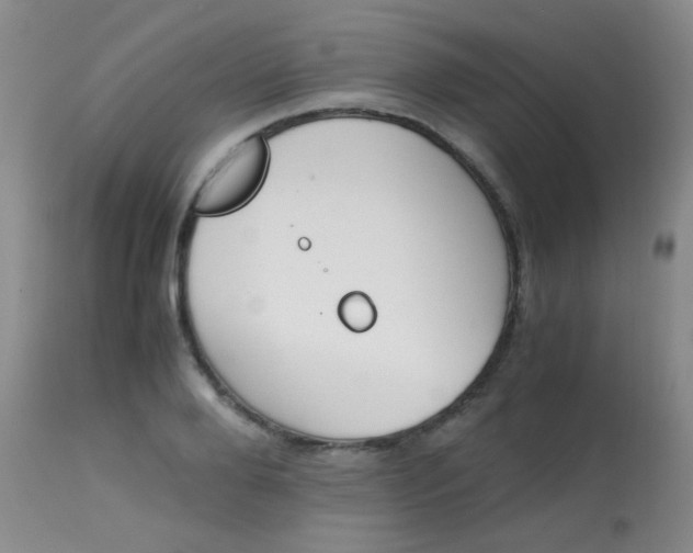 X0000113870888200910151258