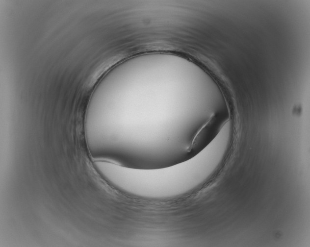 X0000113870889200910151258