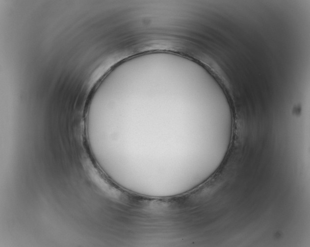 X0000113870890200910151258