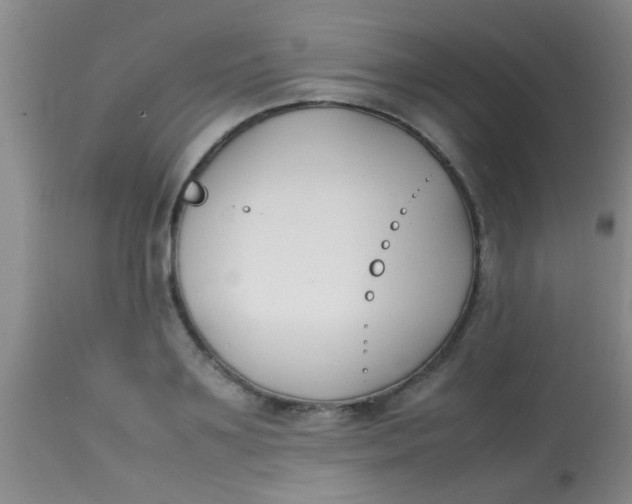 X0000113870891200910151258