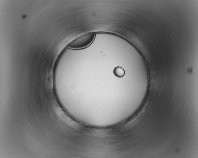 X0000113870892200910151258