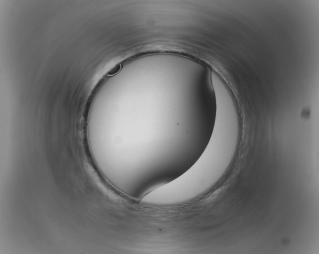 X0000113870893200910151258