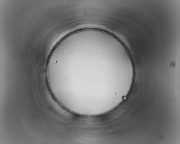 X0000113870895200910151258