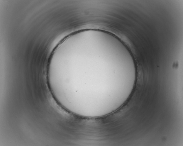 X0000113870896200910151258