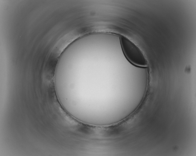 X0000113870897200910151258