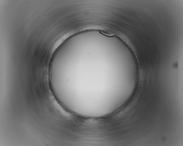 X0000113870898200910151258