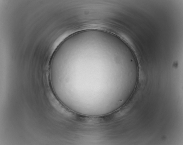 X0000113870899200910151258