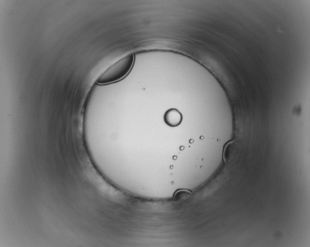 X0000113870900200910151258