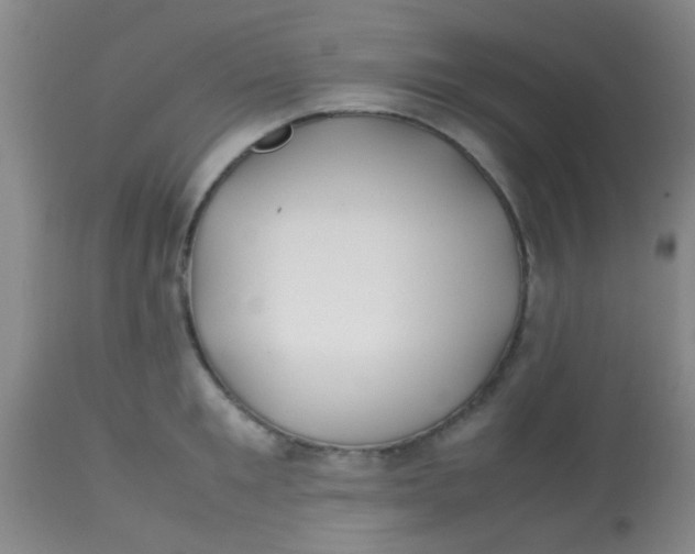 X0000113870901200910151258