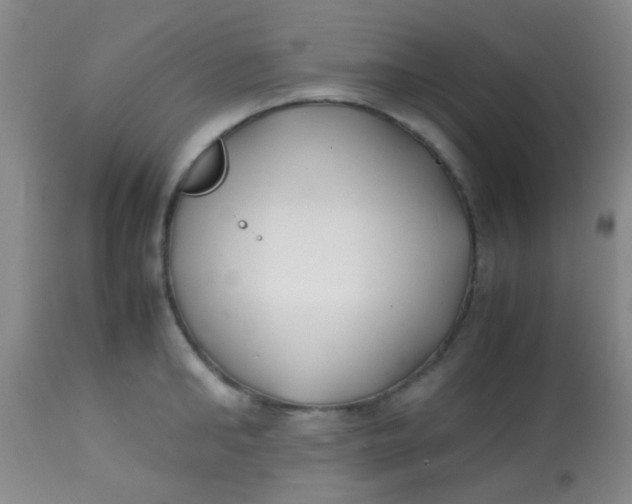 X0000113870902200910151258