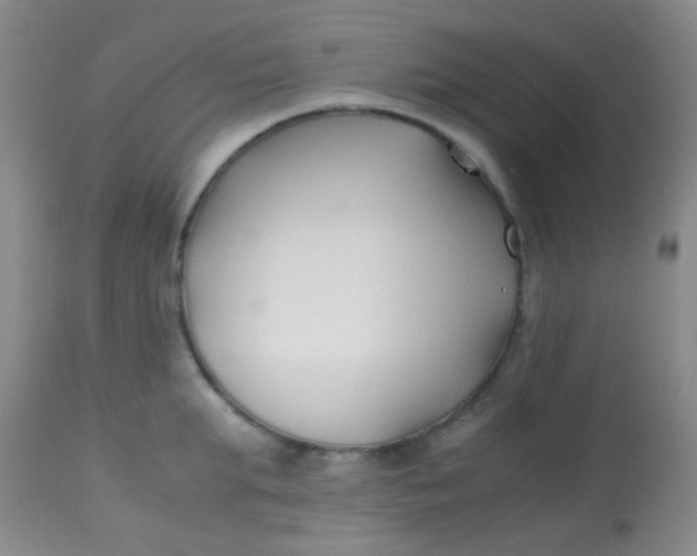 X0000113870903200910151258