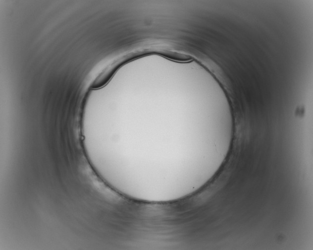 X0000113870904200910151258