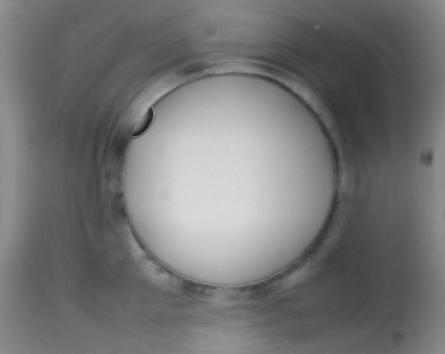 X0000113870905200910151258