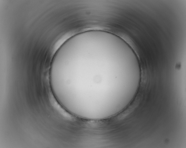 X0000113870906200910151258