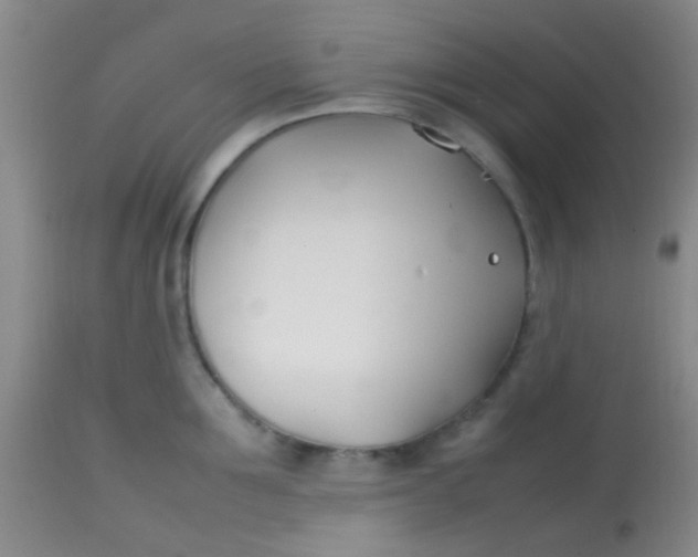 X0000113870907200910151258