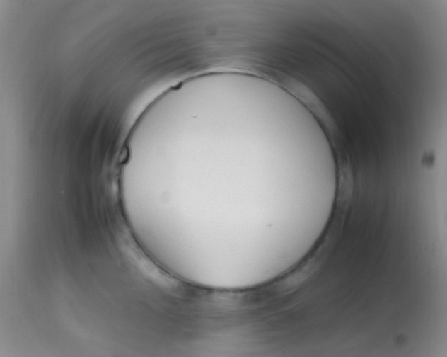 X0000113870908200910151258