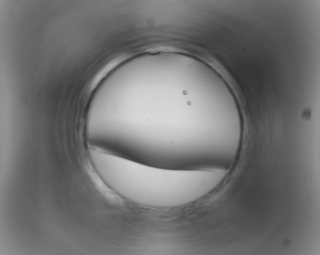 X0000113870909200910151258