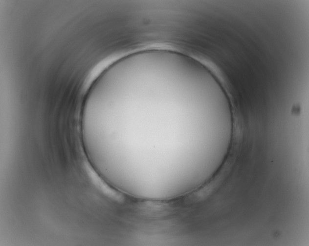 X0000113870910200910151257