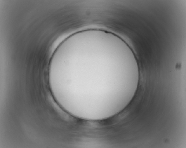 X0000113870911200910151257