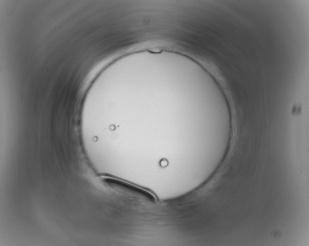 X0000113870912200910151257