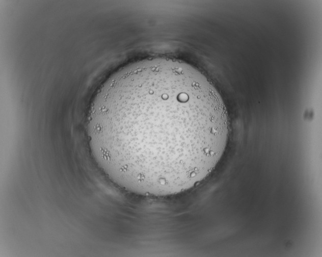 X0000113870913200910151256