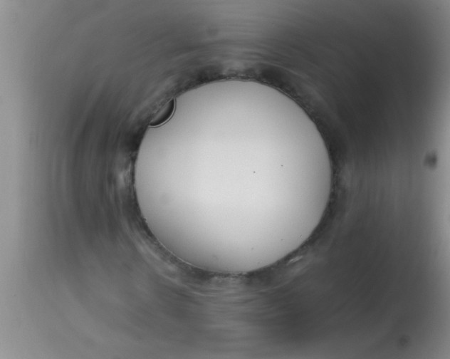 X0000113870914200910151256