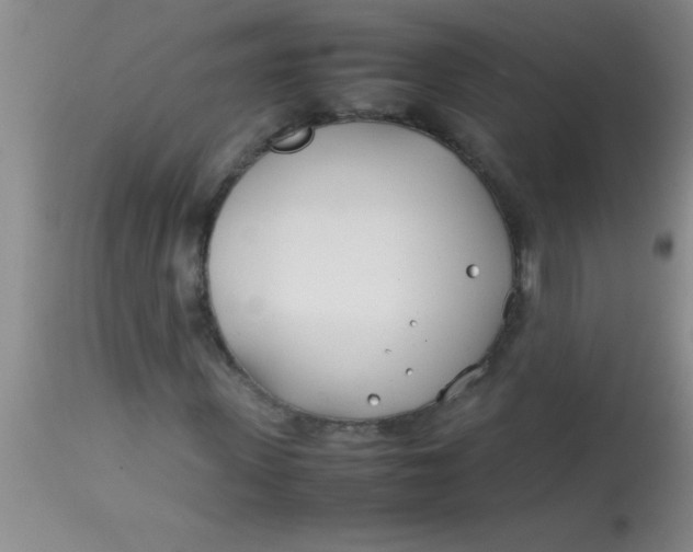 X0000113870915200910151256