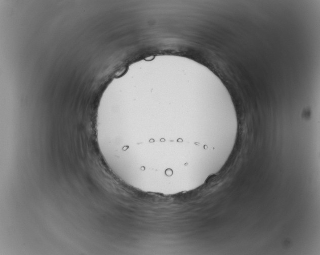 X0000113870916200910151256