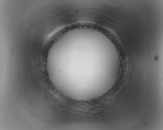 X0000113870919200910151256