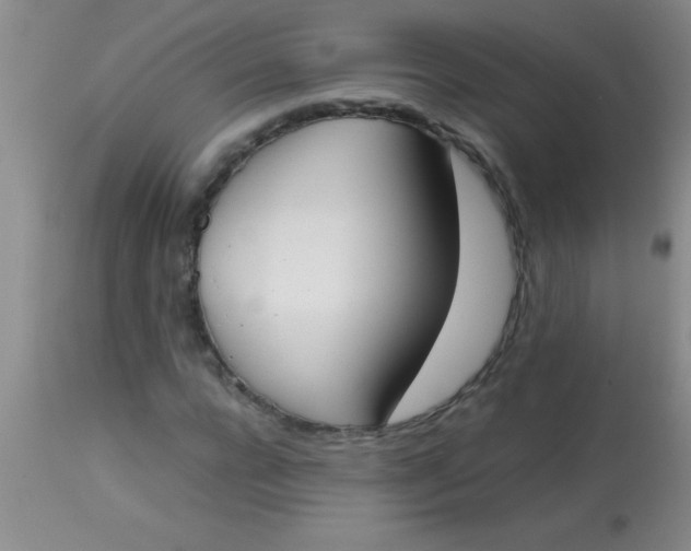 X0000113870920200910151256