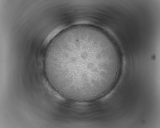 X0000113870921200910151256