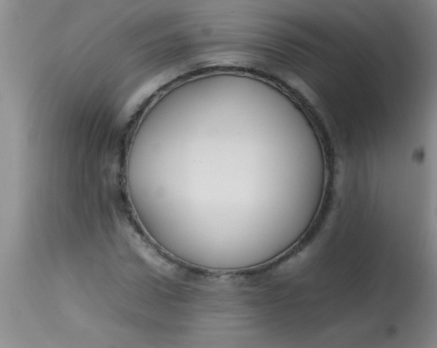 X0000113870922200910151256