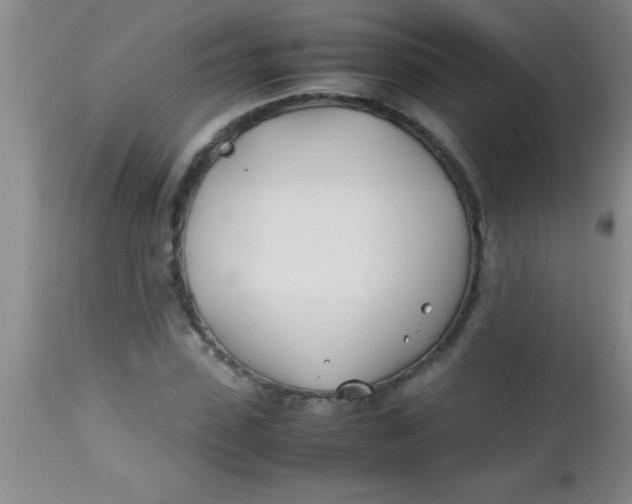 X0000113870923200910151256