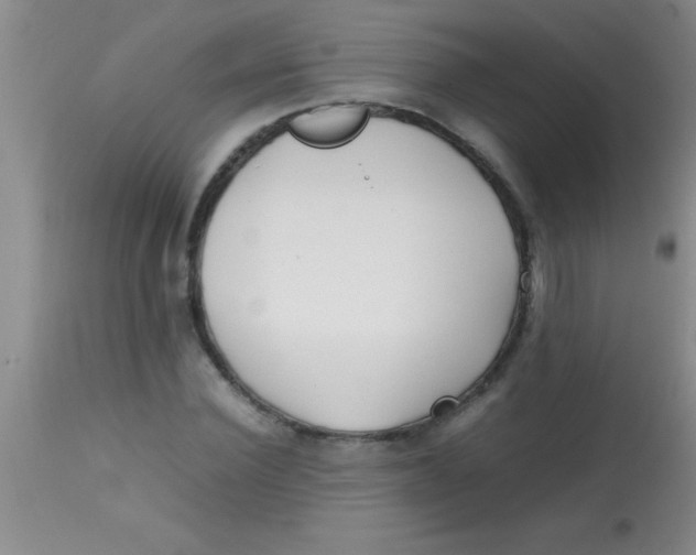 X0000113870924200910151256